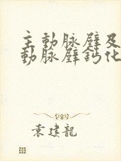 主动脉壁及冠状动脉壁钙化