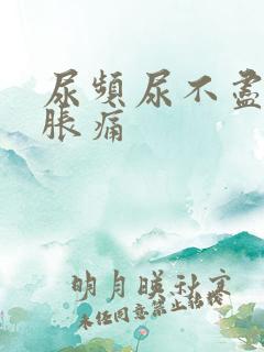 尿频尿不尽小腹胀痛