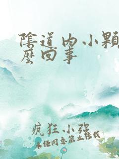 阴道内小颗粒怎么回事