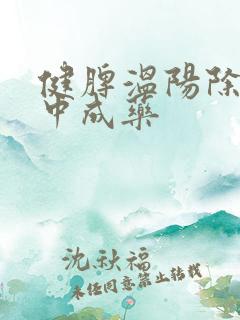 健脾温阳除湿的中成药