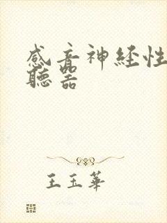 感音神经性聋助听器