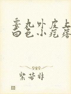 睾丸外皮上起的白色小疙瘩