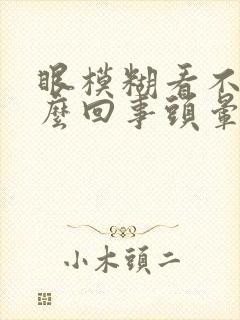 眼模糊看不清怎么回事头晕