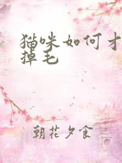 猫咪如何才能不掉毛