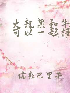 火龙果和牛油果可以一起榨汁吗