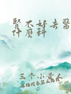 肾不好去医院挂什么科