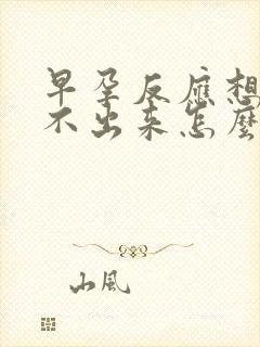 早孕反应想吐吐不出来怎么办