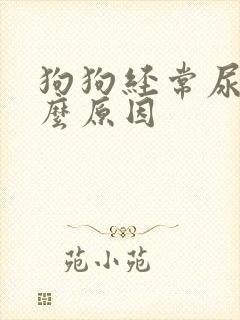 狗狗经常尿血什么原因