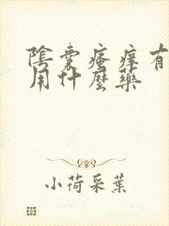 阴囊瘙痒有疙瘩用什么药