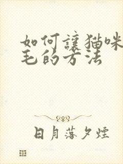 如何让猫咪不掉毛的方法