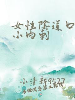 女性阴道口处有小肉刺