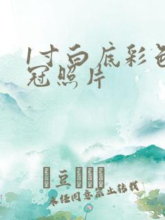 1寸白底彩色免冠照片