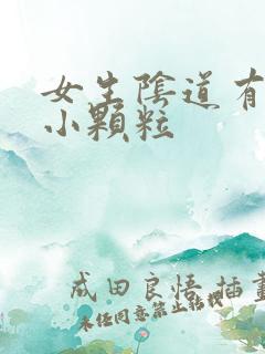 女生阴道有白色小颗粒