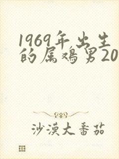 1969年出生的属鸡男2023年的运势