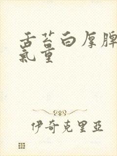 舌苔白厚脾虚湿气重