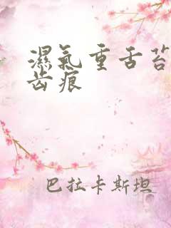 湿气重舌苔白有齿痕