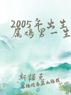 2005年出生属鸡男一生的命运