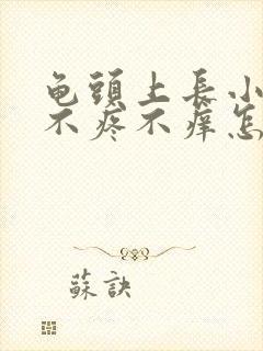 龟头上长小疙瘩不疼不痒怎么回事