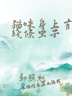 猫咪身上有黑色线条虫子