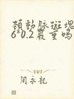 颈动脉斑块0.6*0.2严重吗