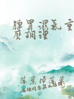 脾胃湿气重吃什么调理