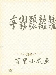 右侧颈动脉锁骨下动脉斑块形成