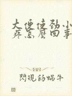 大便使劲小肚子疼怎么回事