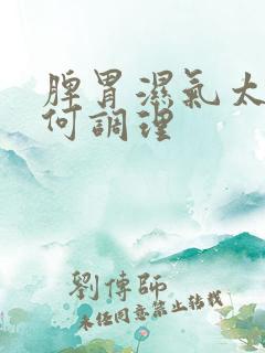 脾胃湿气太重如何调理