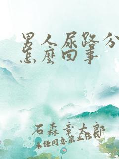 男人尿路分叉是怎么回事