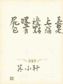 屁眼边上长一个包有点痛是怎么了