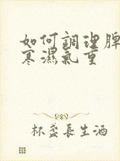 如何调理脾胃虚寒湿气重