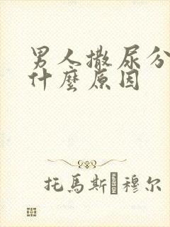 男人撒尿分叉是什么原因