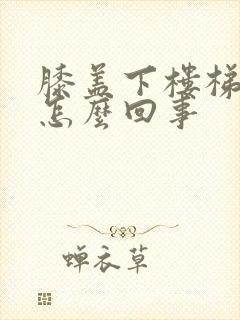 膝盖下楼梯痛是怎么回事