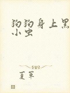 狗狗身上黑色的小虫