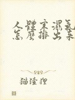 人体寒湿气太重怎么排出来