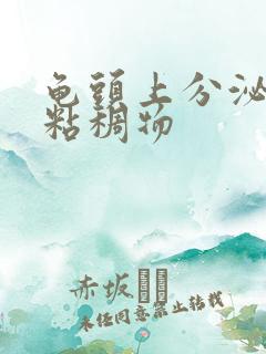 龟头上分泌透明粘稠物