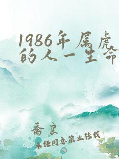 1986年属虎的人一生命运如何