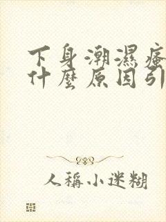 下身潮湿瘙痒是什么原因引起的