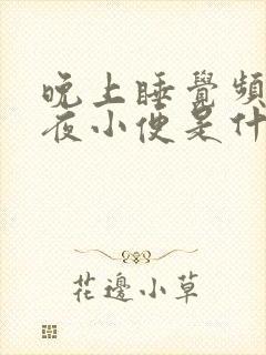 晚上睡觉频繁起夜小便是什么原因