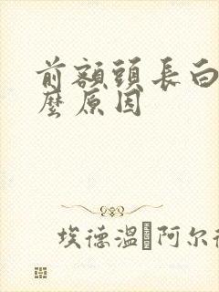 前额头长白发什么原因