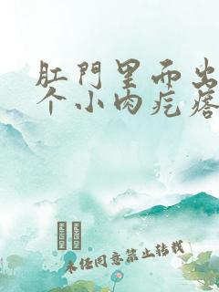 肛门里面出来一个小肉疙瘩