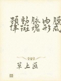 颈动脉内膜毛糙伴斑块形成