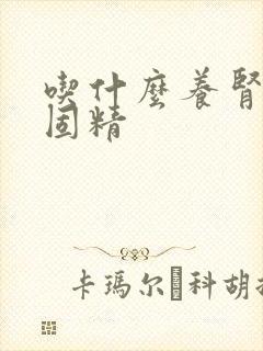 吃什么养肾强肾固精