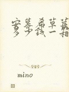 安慕希草莓酸奶多少钱一箱