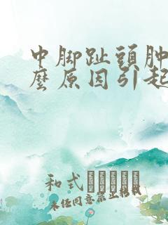 中脚趾头肿痛什么原因引起的