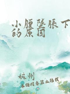 小腹坠胀下身湿的原因