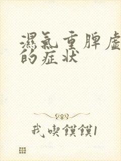 湿气重脾虚气虚的症状