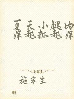 夏天小腿内侧痒痒越抓越痒有小红疙瘩