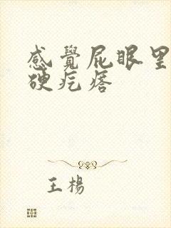 感觉屁眼里有个硬疙瘩