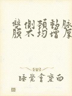 双侧颈动脉内中膜不均增厚伴左侧斑块